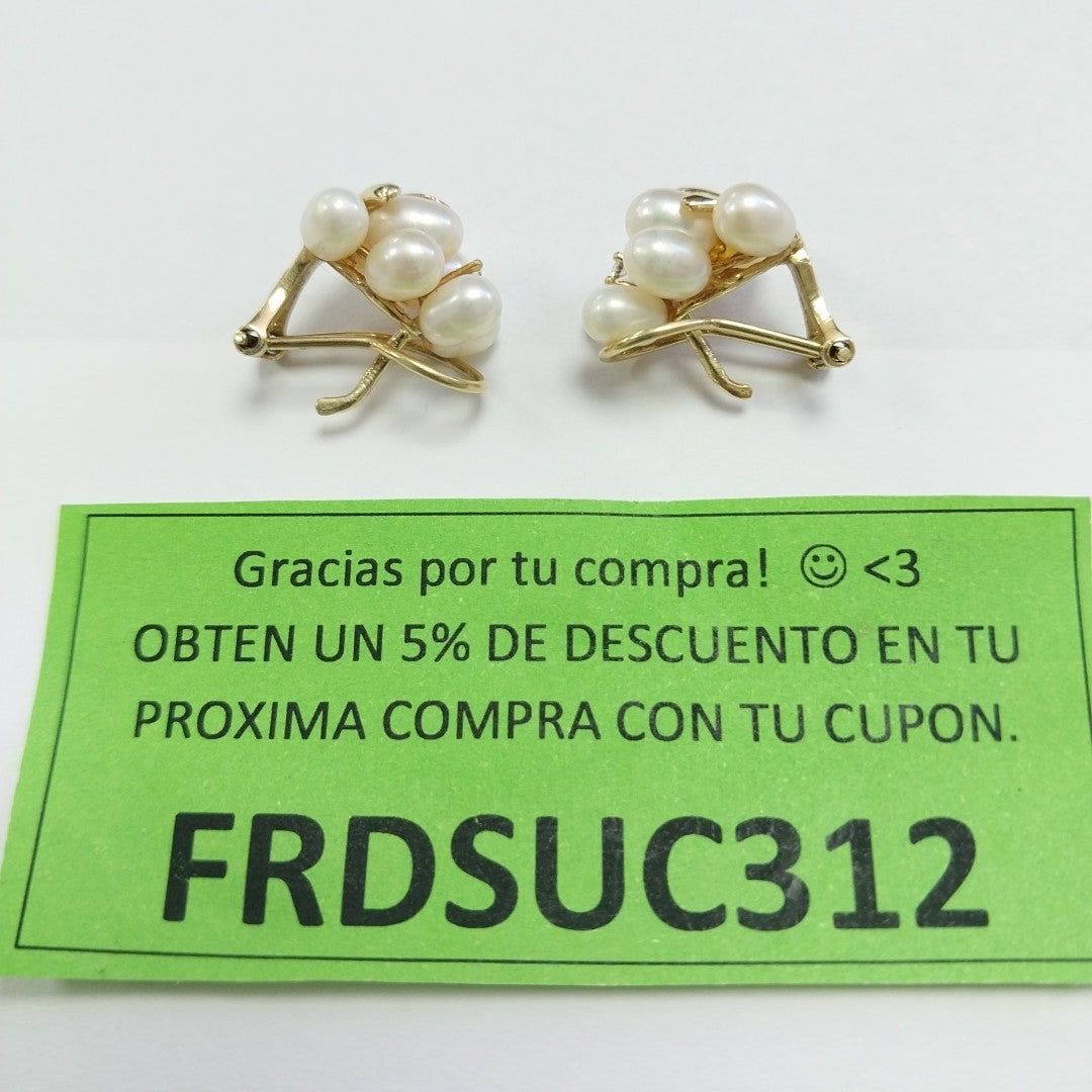 ARETES PAR ORO 10 K 5.4 GRMS (SEMINUEVO)