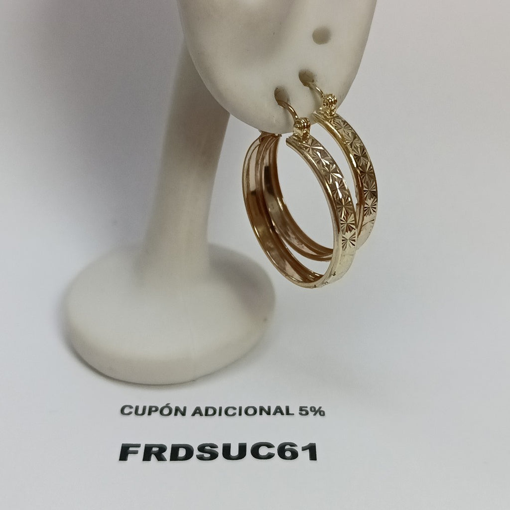 ARETES PAR ORO 10 K 2.7 GRMS (SEMINUEVO)