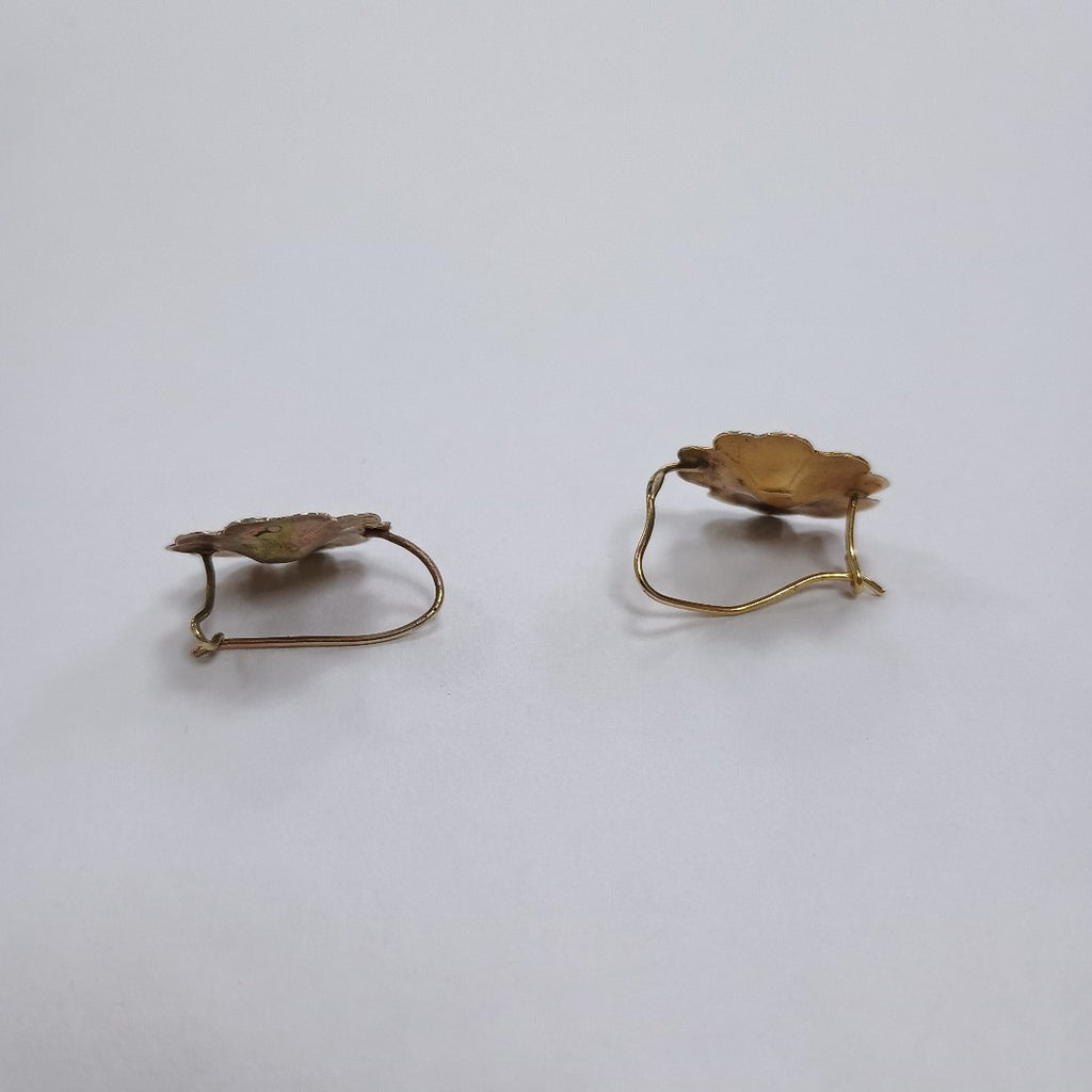 ARETES PAR ORO 10 K 1.2 GRMS (SEMINUEVO)