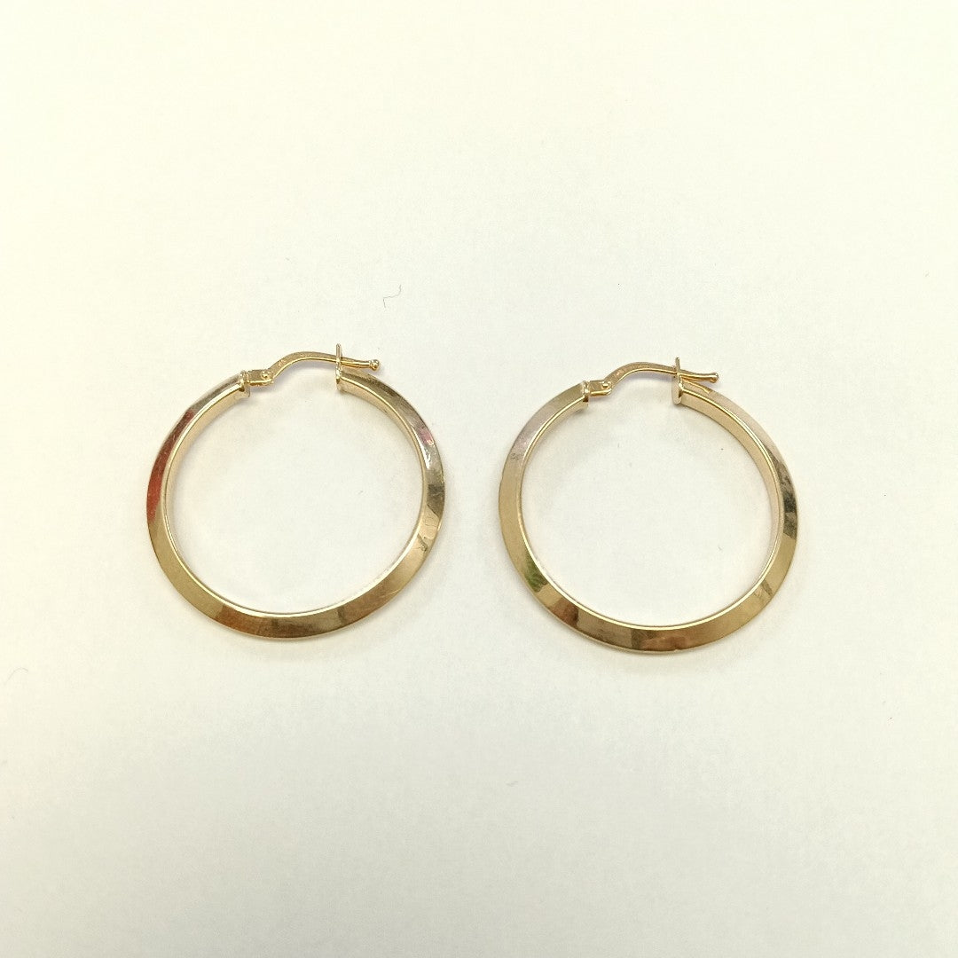 ARRACADAS PAR ORO 14 K 2.4 GRMS (SEMINUEVO)