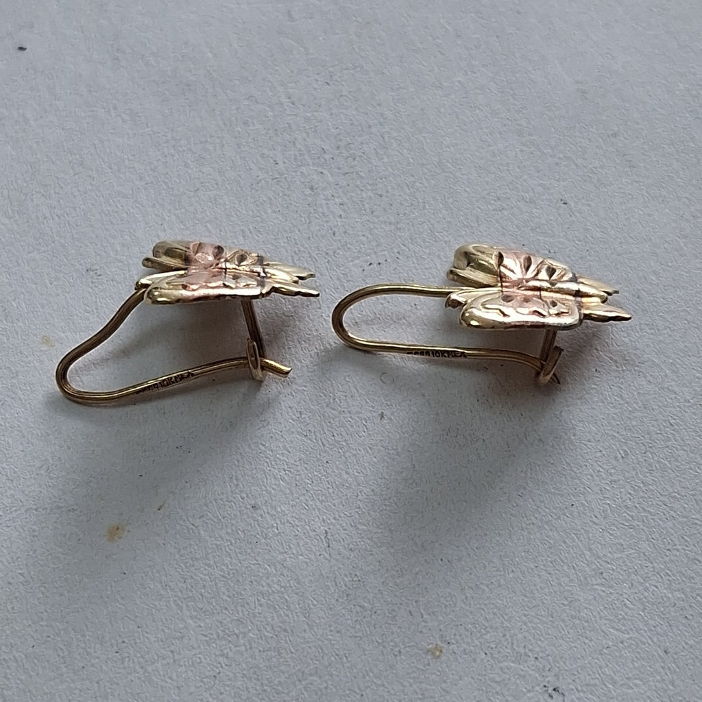 ARETES PAR ORO 10 K 1,20 GRMS (SEMINUEVO)