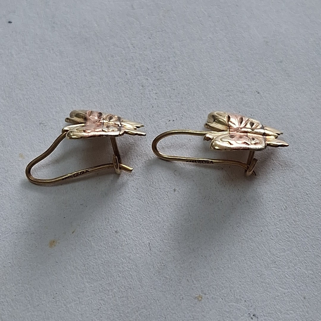ARETES PAR ORO 10 K 1,20 GRMS (SEMINUEVO)