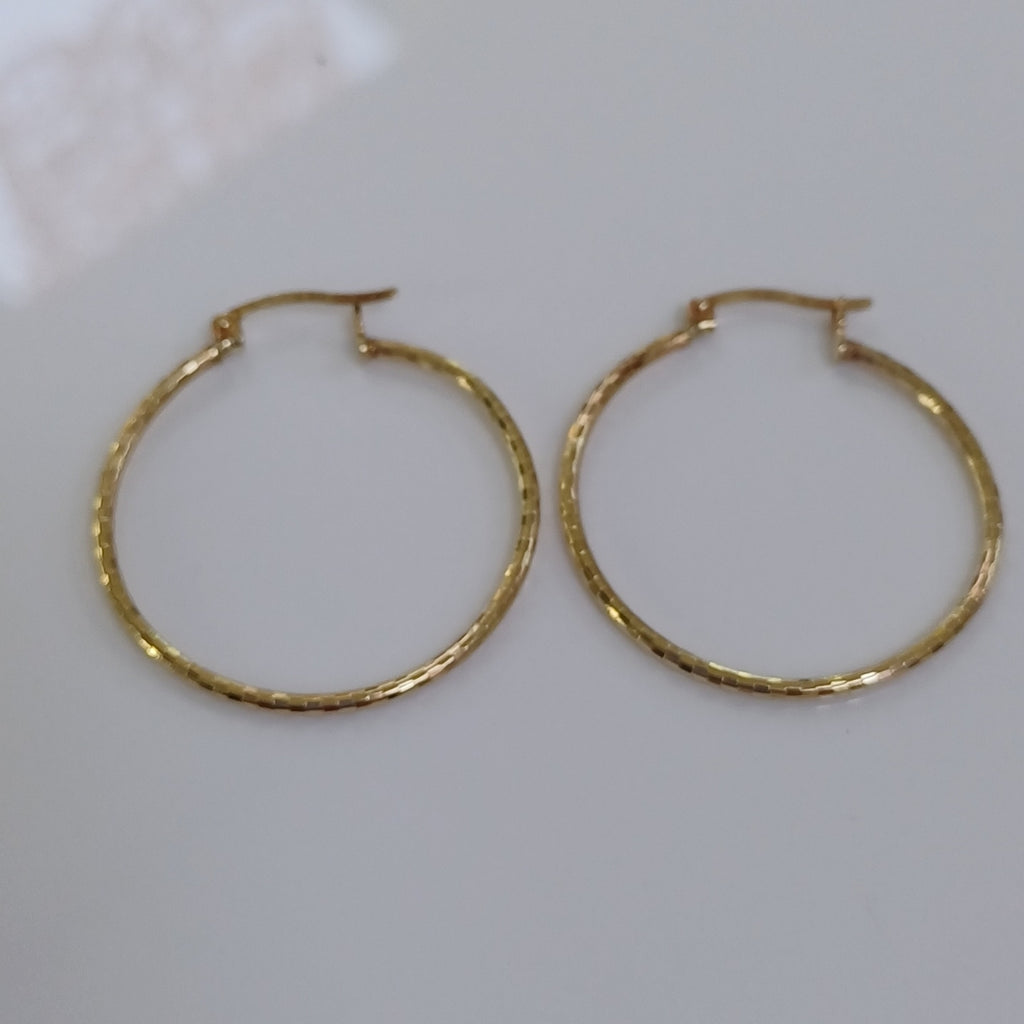 ARRACADAS PAR ORO 10 K 1.6 GRMS (SEMINUEVO)