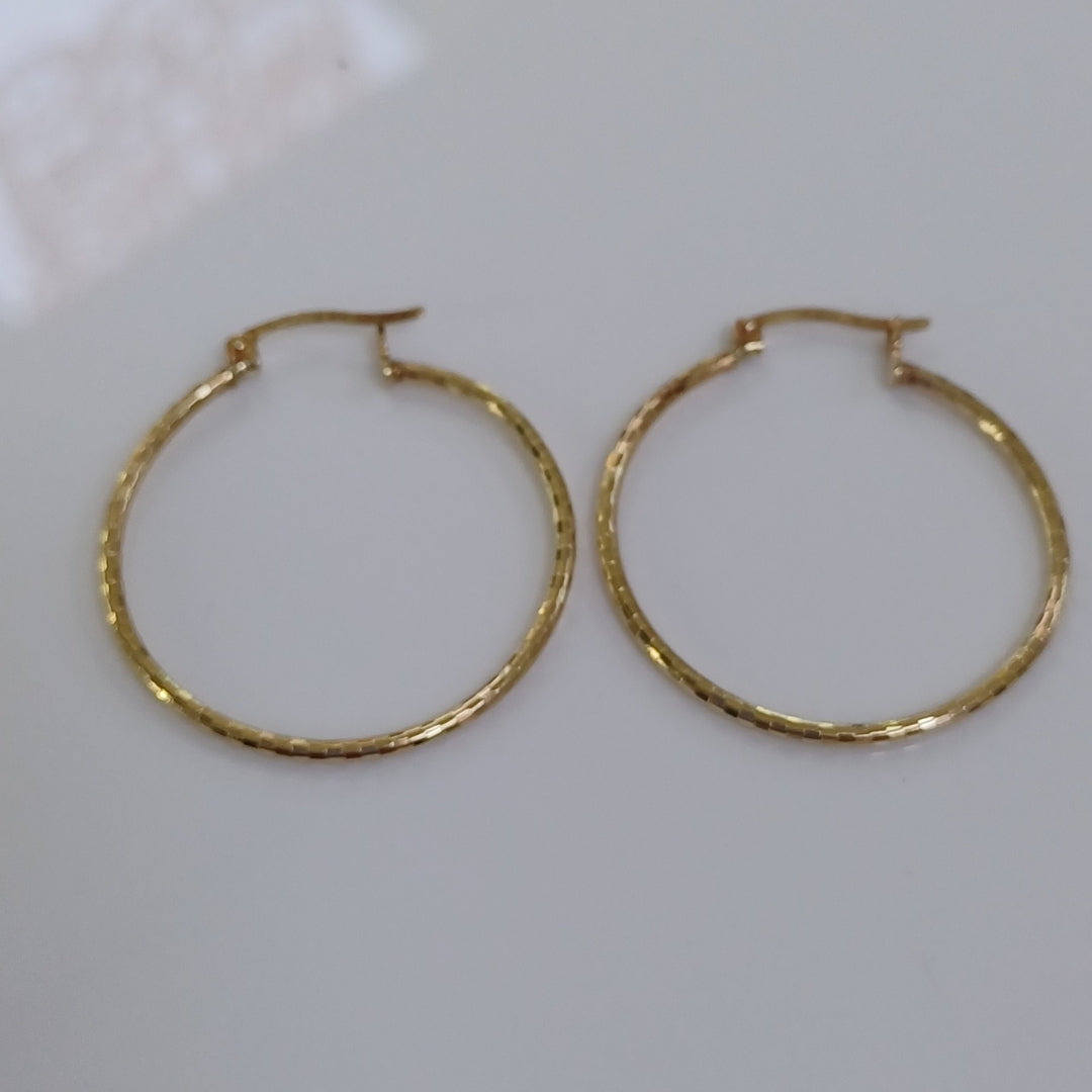 ARRACADAS PAR ORO 10 K 1.6 GRMS (SEMINUEVO)