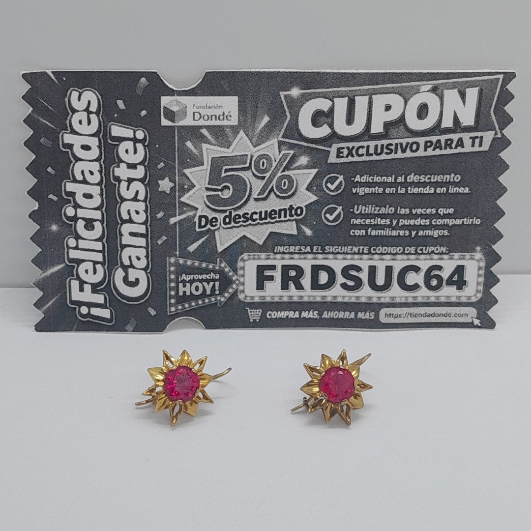ARETES PAR ORO 10 K 3.6 GRMS (SEMINUEVO)