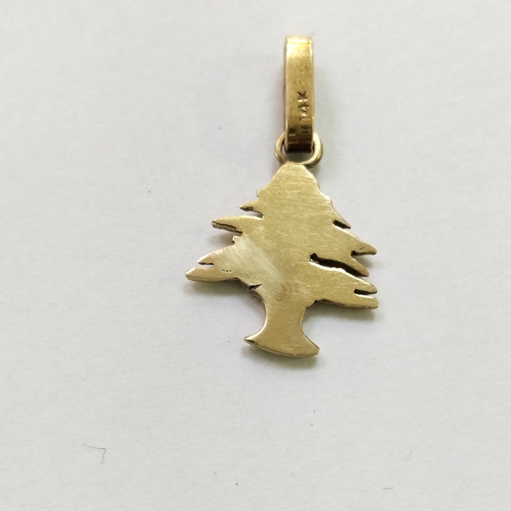 DIJE ORO 14 K 1.8 GRMS (SEMINUEVO)