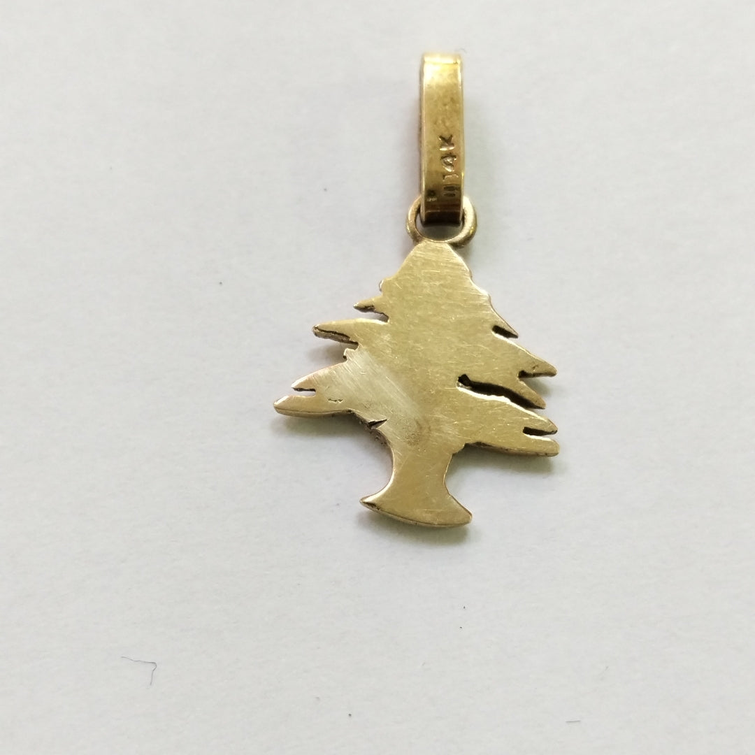 DIJE ORO 14 K 1.8 GRMS (SEMINUEVO)
