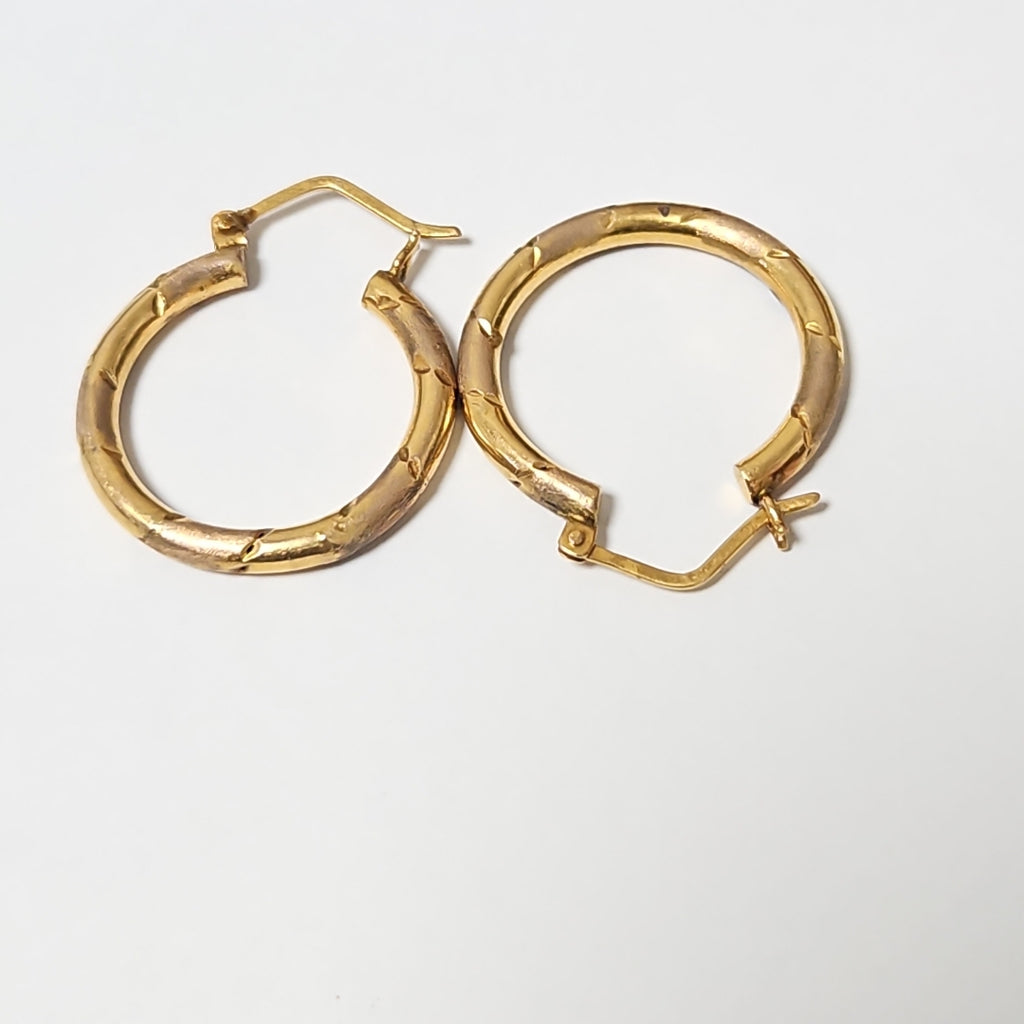ARETES PAR ORO 10 K 2,90 GRMS (SEMINUEVO)