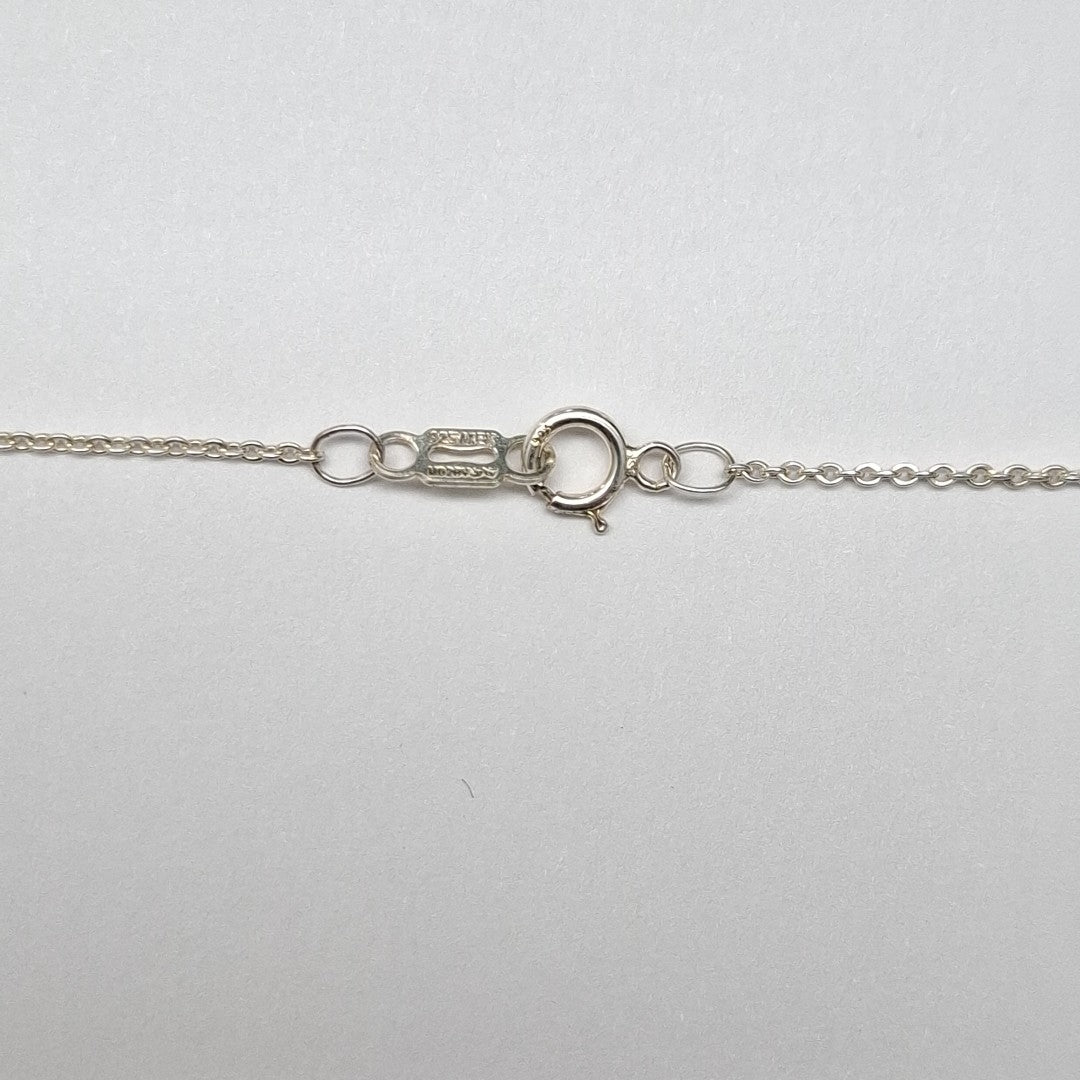 CADENA, DIJE PLATA 7.7 GRMS (SEMINUEVO)
