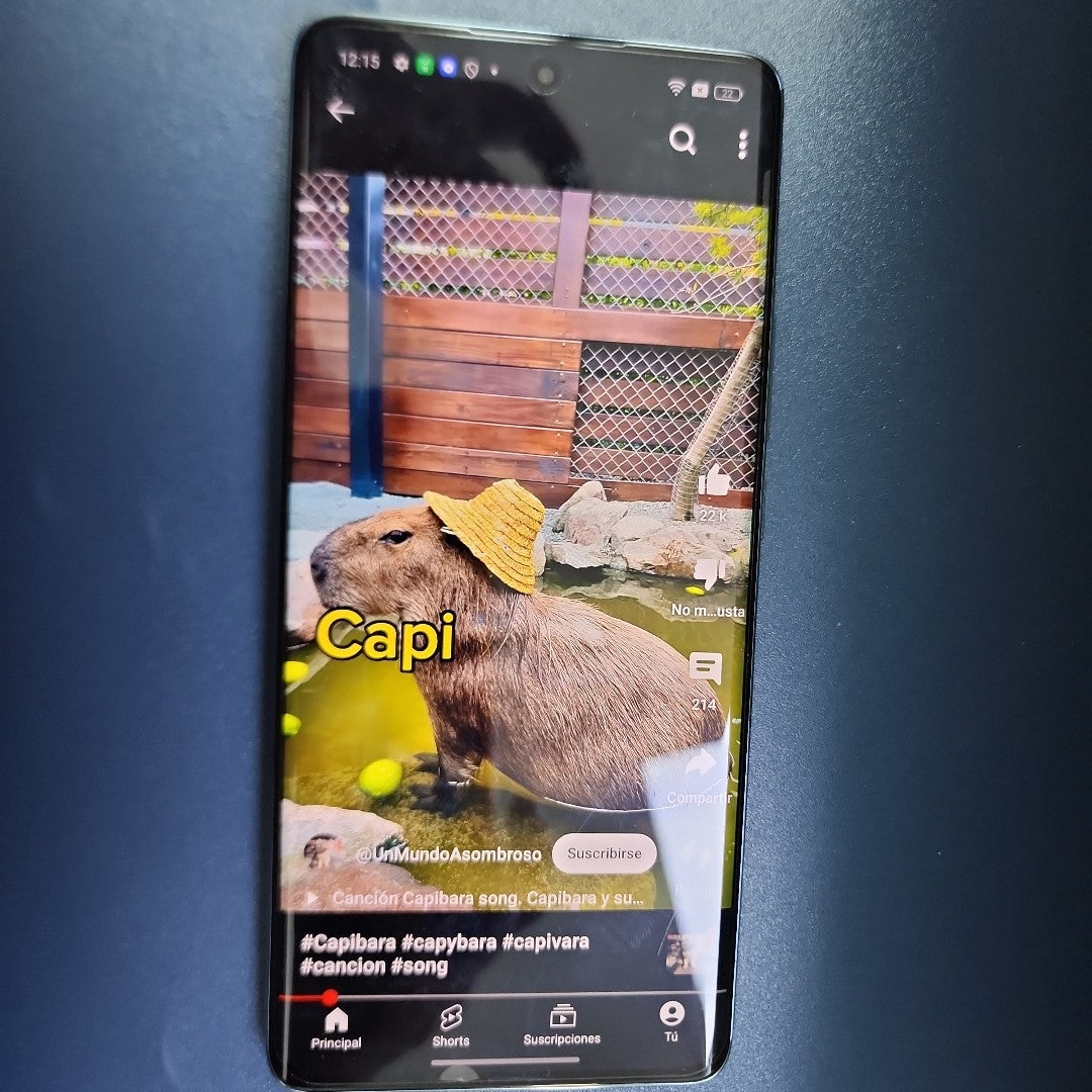 CELULAR OPPO  RENO11 5G CPH2599 (2024) 256 GB 8 GB RAM (SEMINUEVO)