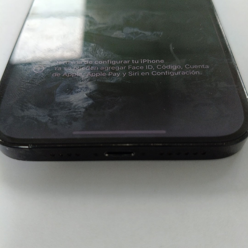 CELULAR APPLE IPHONE 14 PRO MAX A2893 128 GB 6 GB RAM (SEMINUEVO)