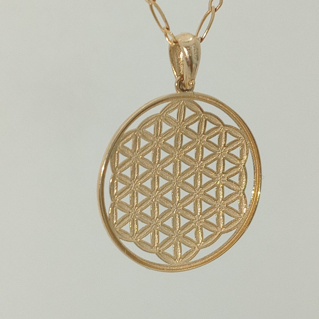 DIJES ORO 14K 1.6 (NUEVO)