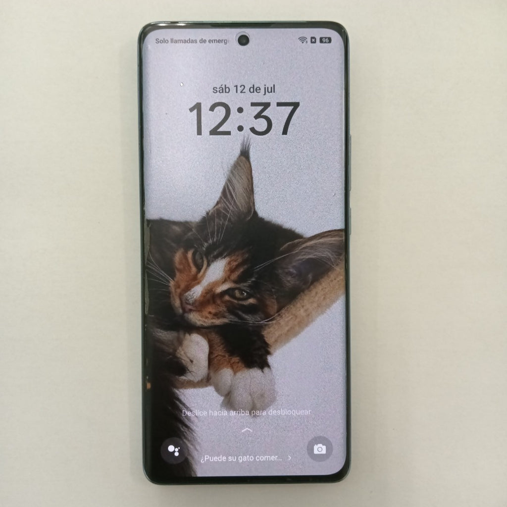 CELULAR OPPO RENO 10 CPH2531 (2023) 256 GB 8 GB RAM