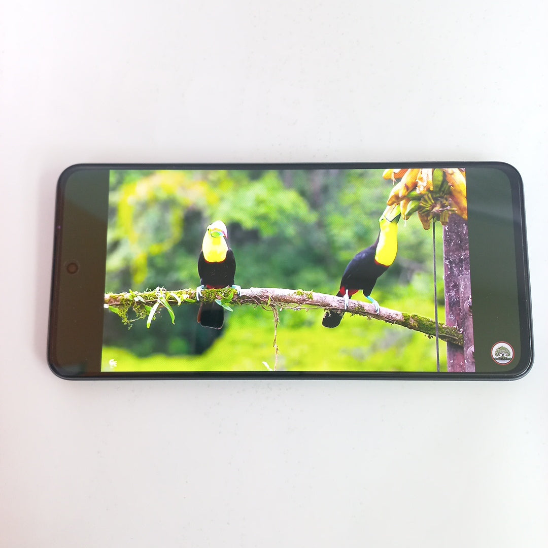 CELULAR REALME 14T 5G RMX5078 (2024) 256 GB 8 GB RAM (SEMINUEVO)