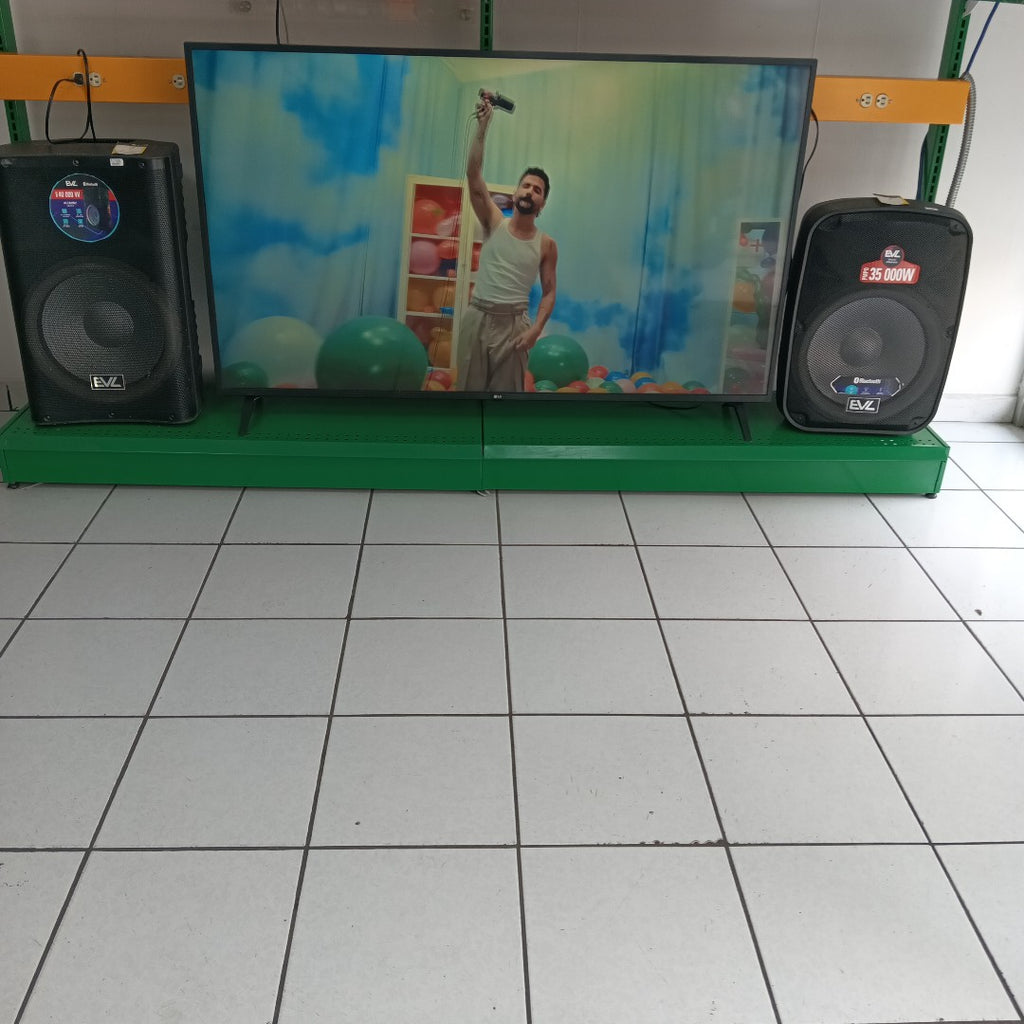 PANTALLA LG 65UN7300PUC (2021) 65" LED 4K (SEMINUEVO)