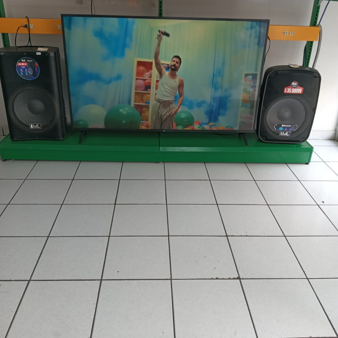 PANTALLA LG 65UN7300PUC (2021) 65" LED 4K (SEMINUEVO)