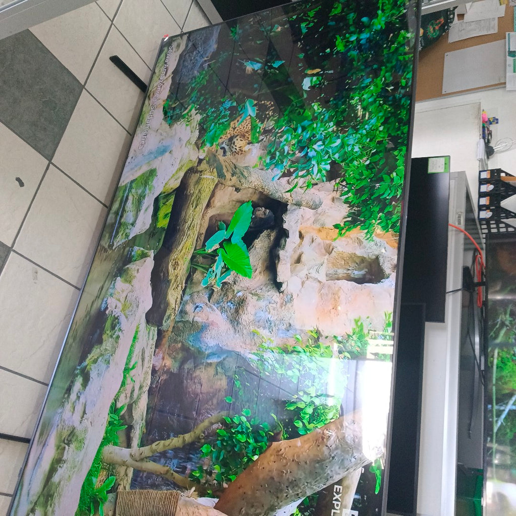 PANTALLA SAMSUNG UN85DU8000F (2024) 85" LED UHD 4K (SEMINUEVO)