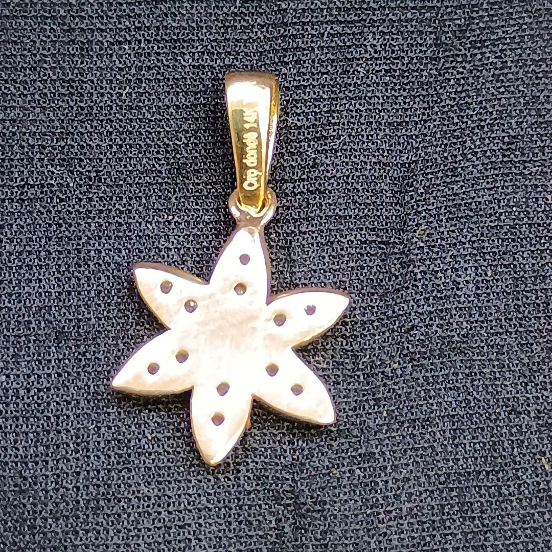 DIJES ORO 14K 1 (NUEVO)