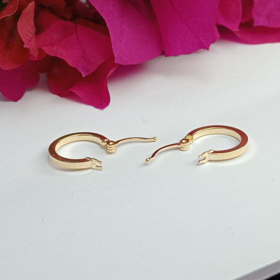 ARRACADAS ORO 14K 1 (NUEVO)