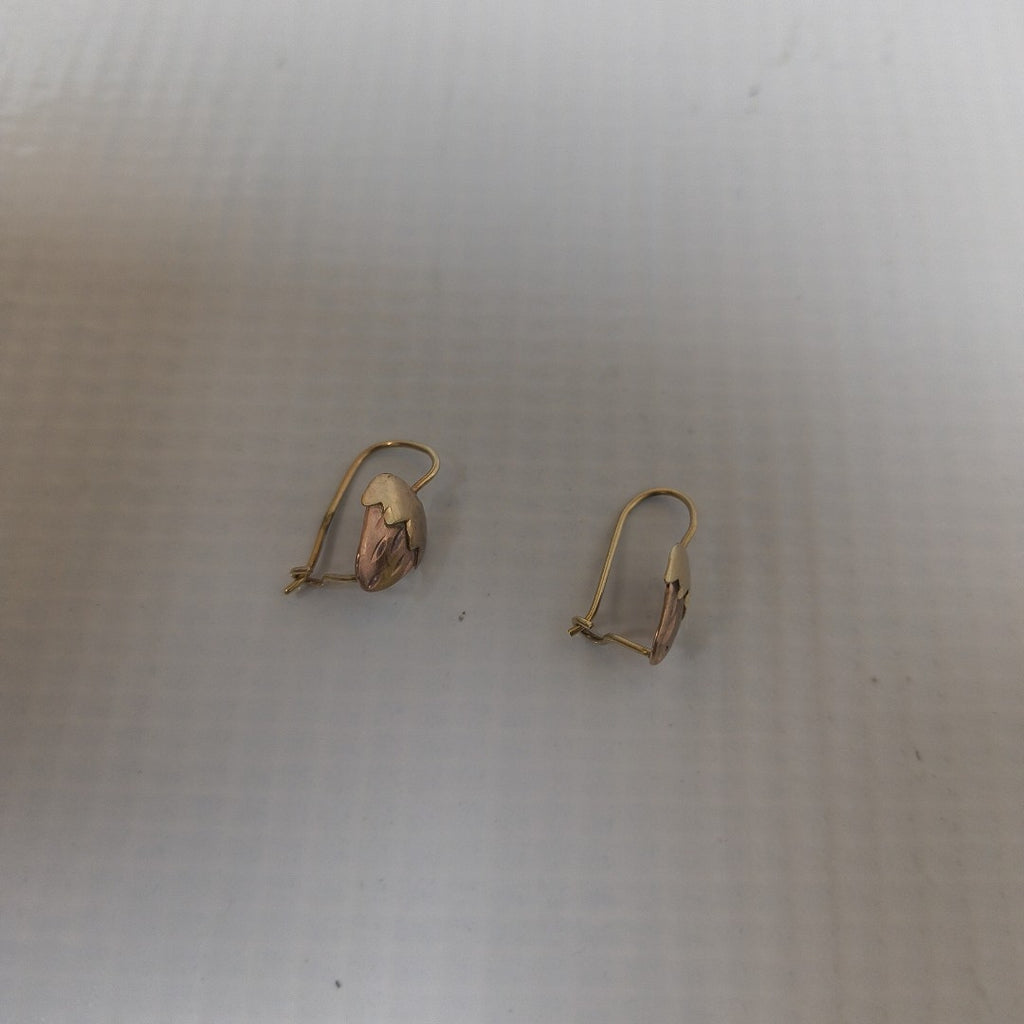 ARETES PAR ORO 10 K 1,00 GRMS (SEMINUEVO)