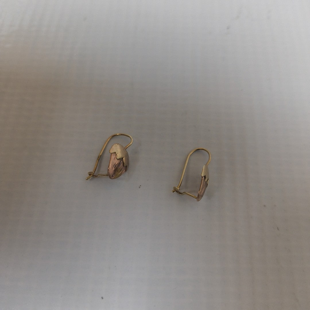 ARETES PAR ORO 10 K 1,00 GRMS (SEMINUEVO)
