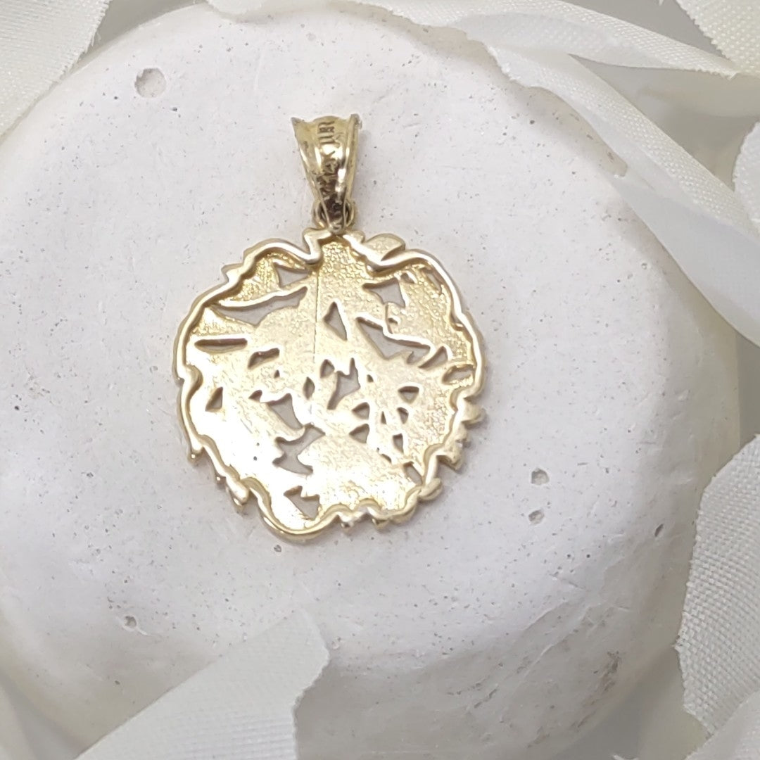 DIJES ORO 14K 1.3 (NUEVO)