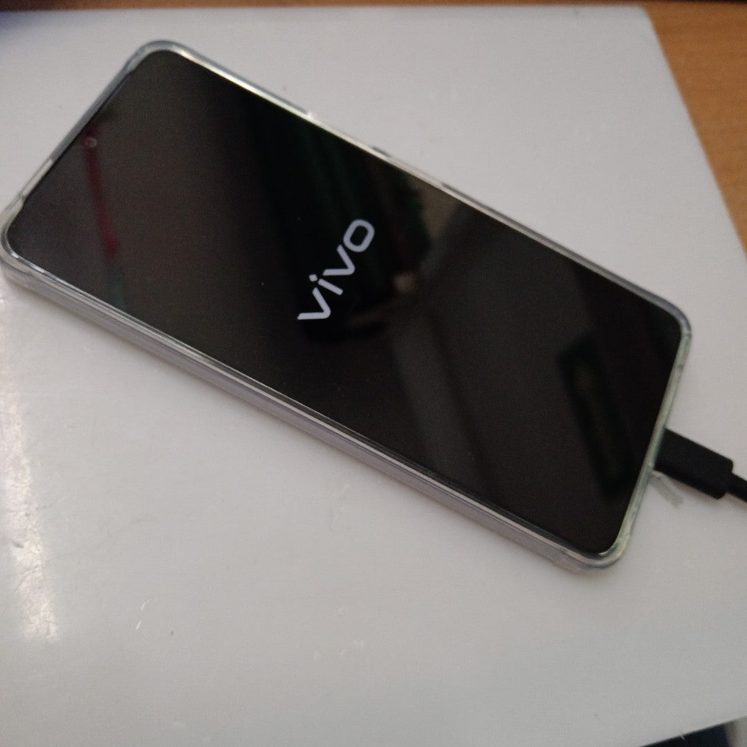 CELULAR VIVO Y04 V2430 (2025) 256 GB 4 GB RAM (SEMINUEVO)