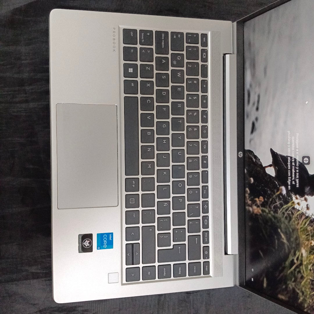 LAPTOP HP PROBOOK 440 G9 (2023) 256 GB SSD 8 GB RAM (SEMINUEVO)