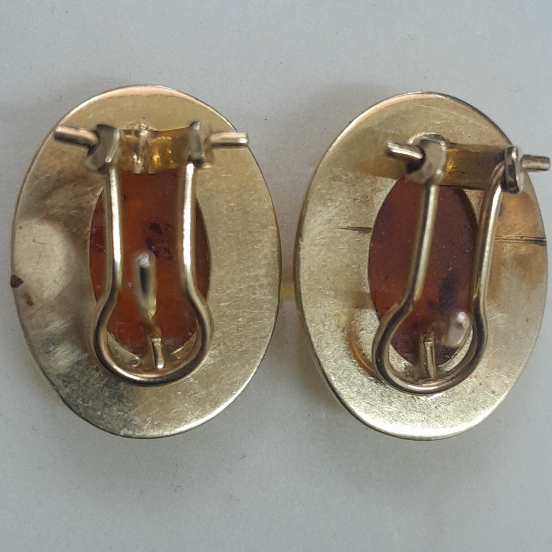 ARETES PAR. ORO. 14 K 6.3 GRMS (SEMINUEVO)