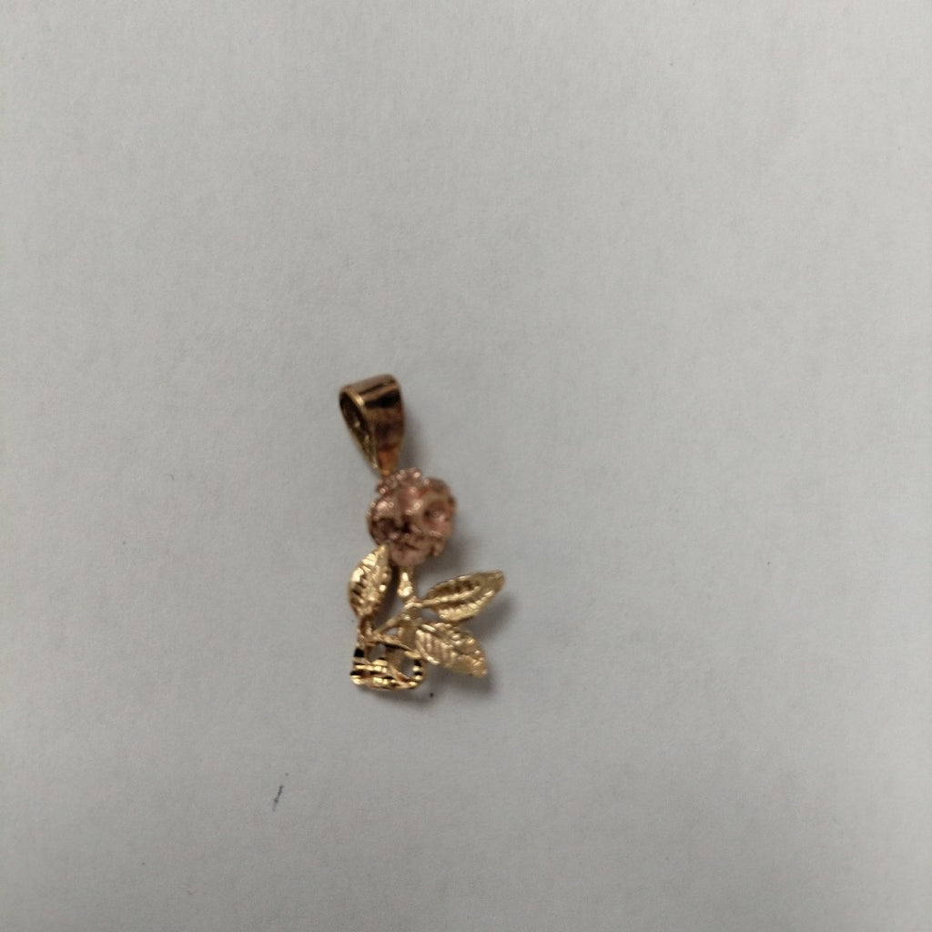DIJE. ORO. 10 K 1.1 GRMS (SEMINUEVO)