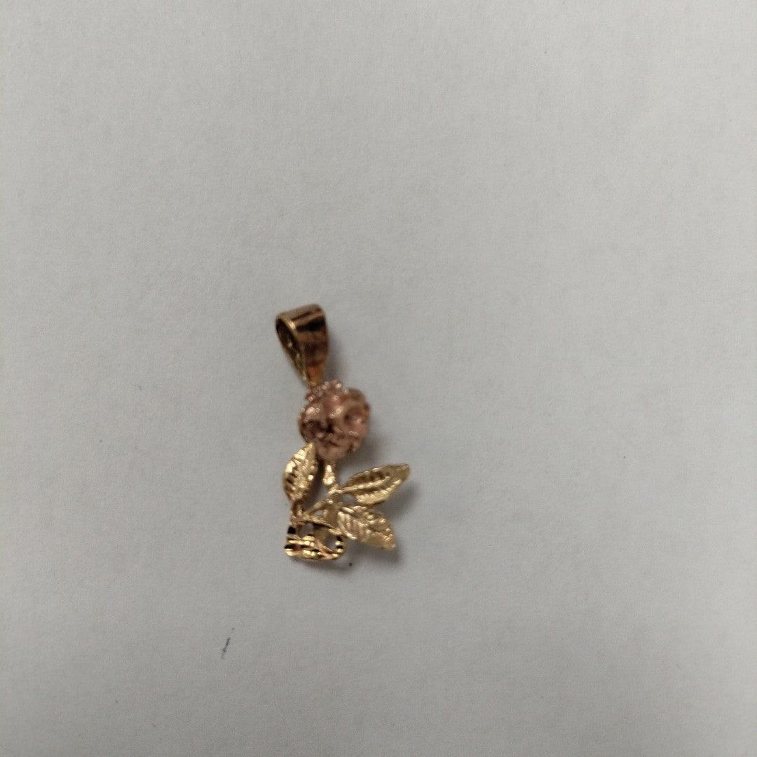 DIJE. ORO. 10 K 1.1 GRMS (SEMINUEVO)