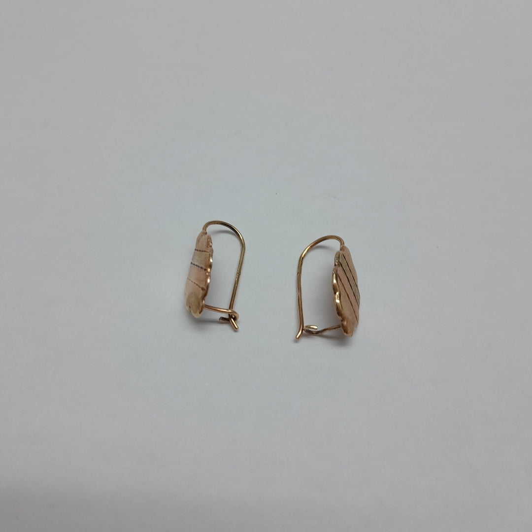 ARETES PAR. ORO. 8 K 1 GRMS (SEMINUEVO)