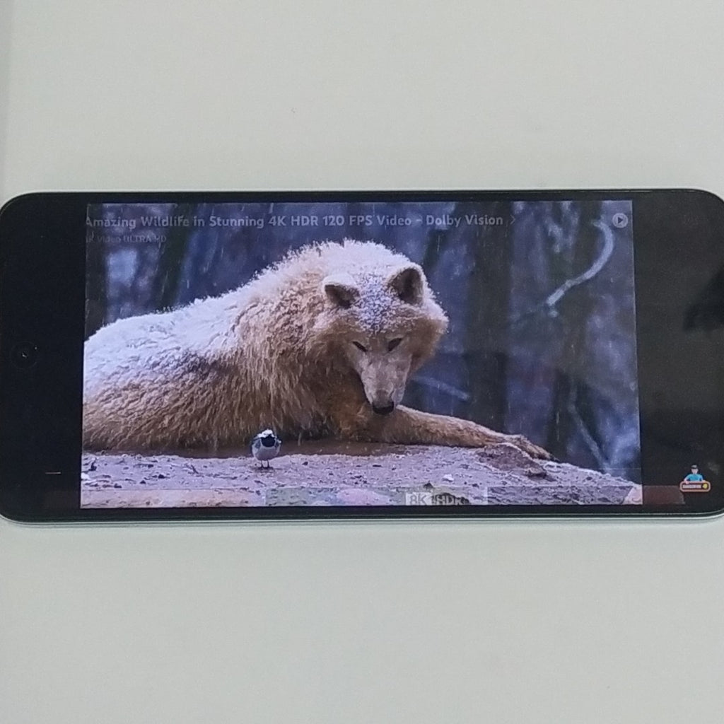 CELULAR XIAOMI REDMI 13 24049RN28L (2024) 256 GB 8 GB RAM (SEMINUEVO)