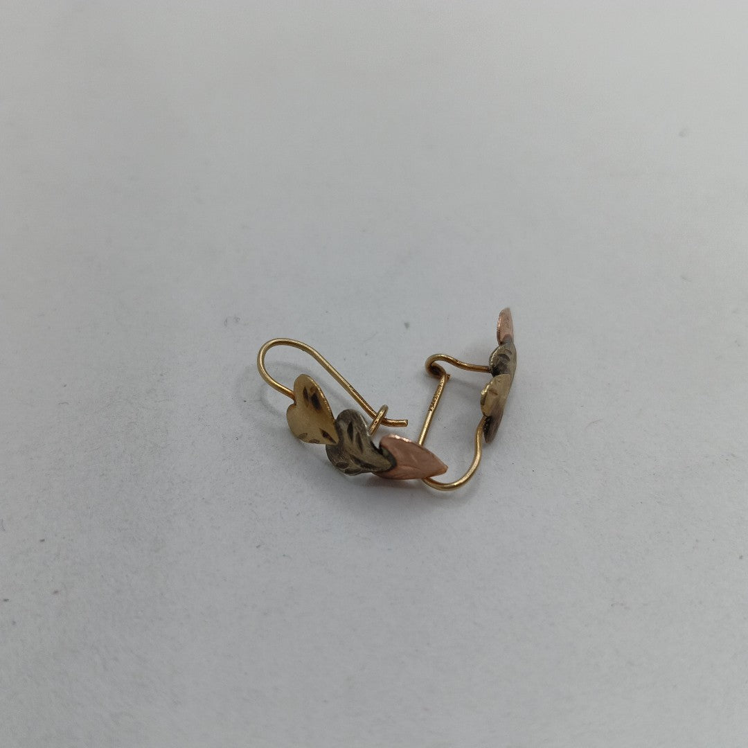 ARETES PAR. ORO. 10 K 1 GRMS (SEMINUEVO)