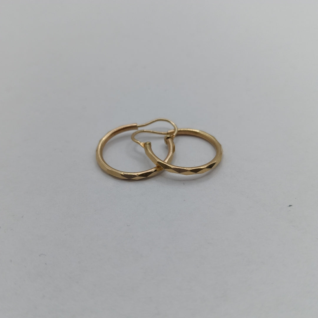 ARETES PAR. ORO. 10 K 1.3 GRMS (SEMINUEVO)