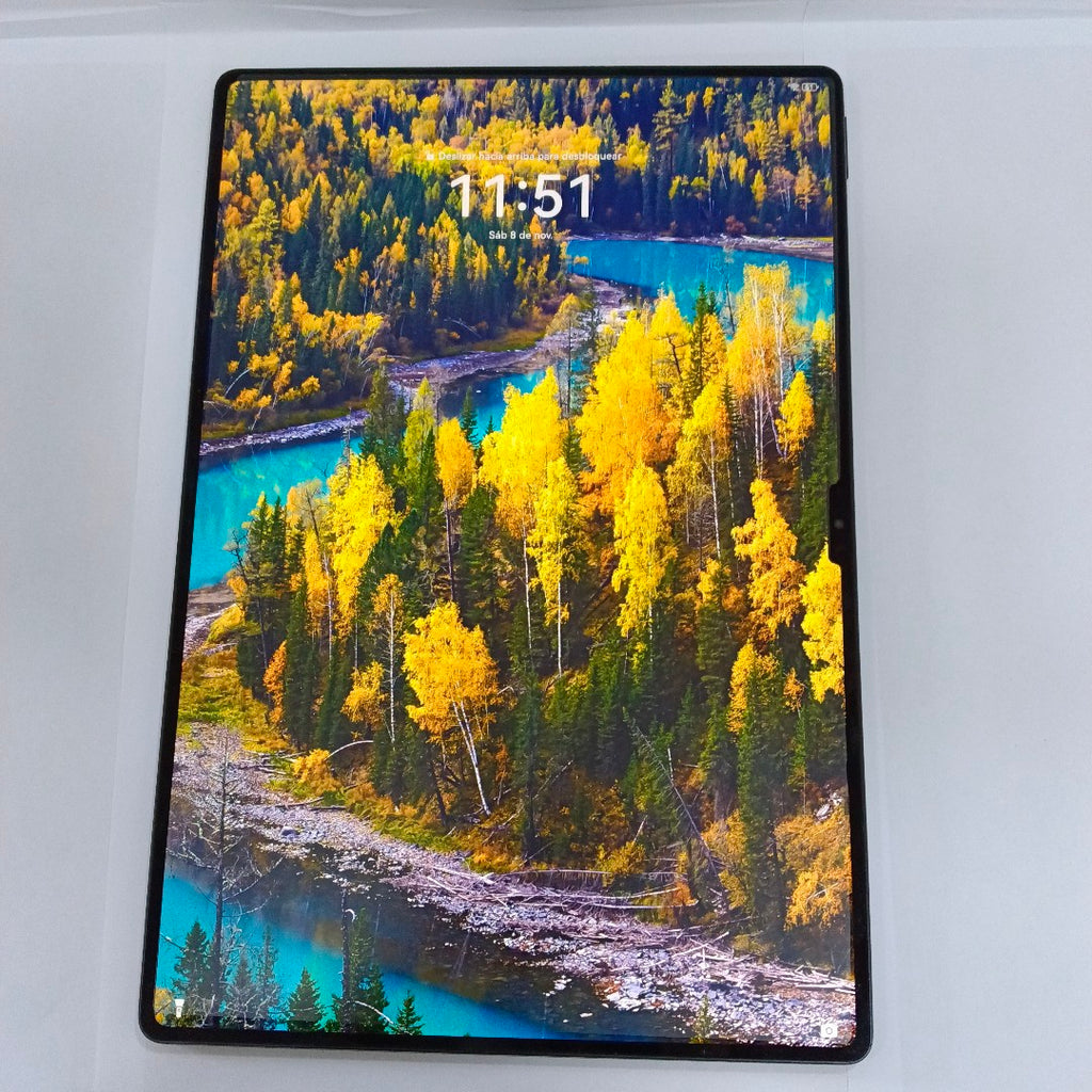 TABLETA HUAWEI MATEPAD PRO 13.2"  PCE-W29 (2023) 256 GB 12 GB RAM (SEMINUEVO)