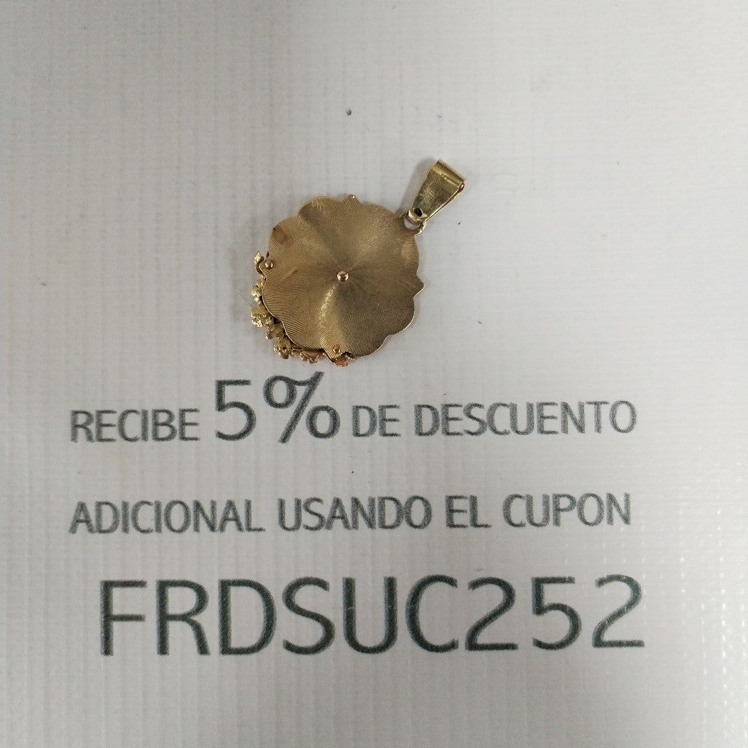 K1 6,00 GRMS 10 K ESPECIFICACIONES COMPLEMENTARIAS DIJE MTVO CIRGEN DE GUADALUPE (SEMINUEVO)