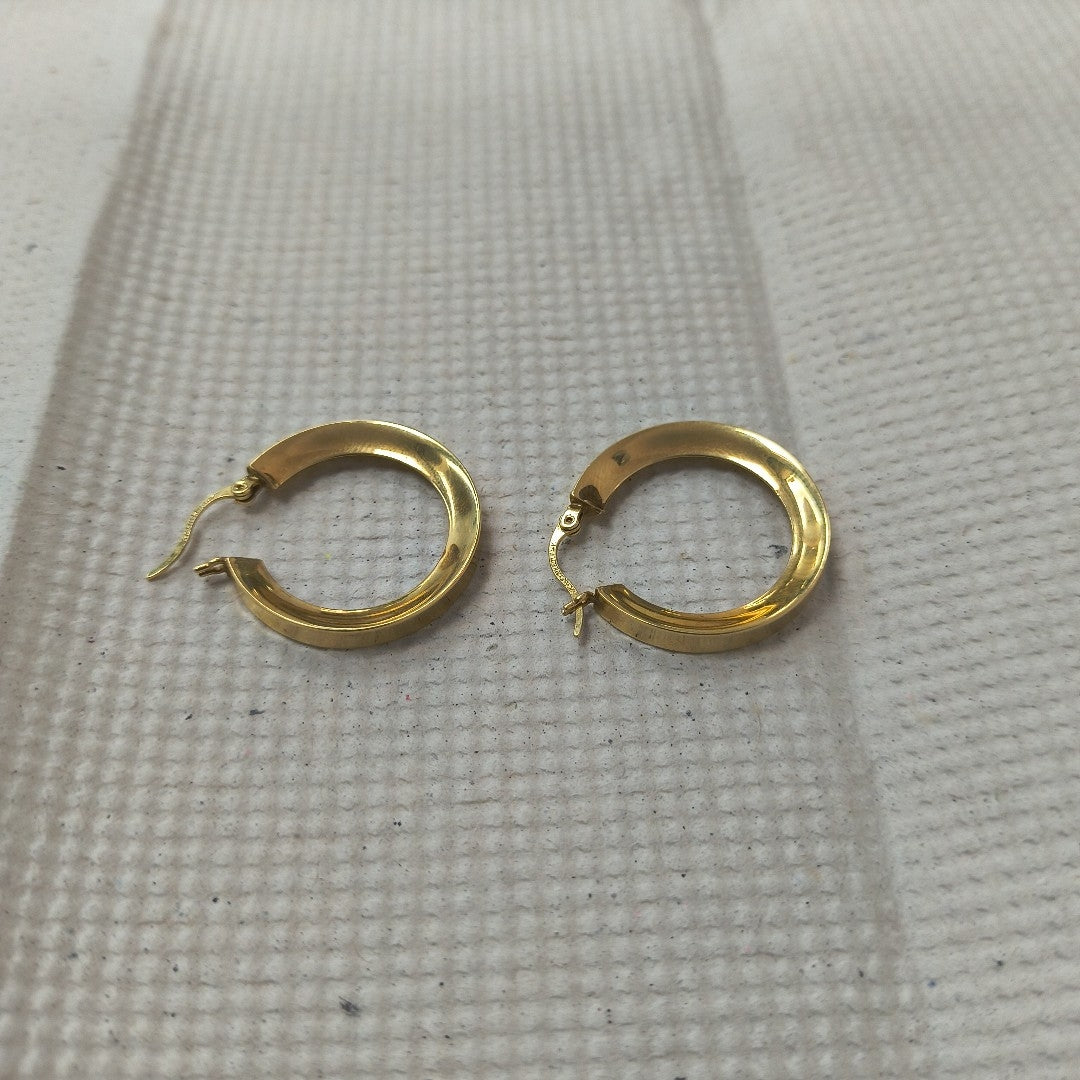 ARRACADAS PAR ORO 14 K 2.6 GRMS (SEMINUEVO)