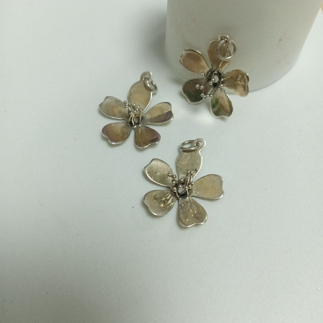 DIJE PLATA 4 GRMS (SEMINUEVO)