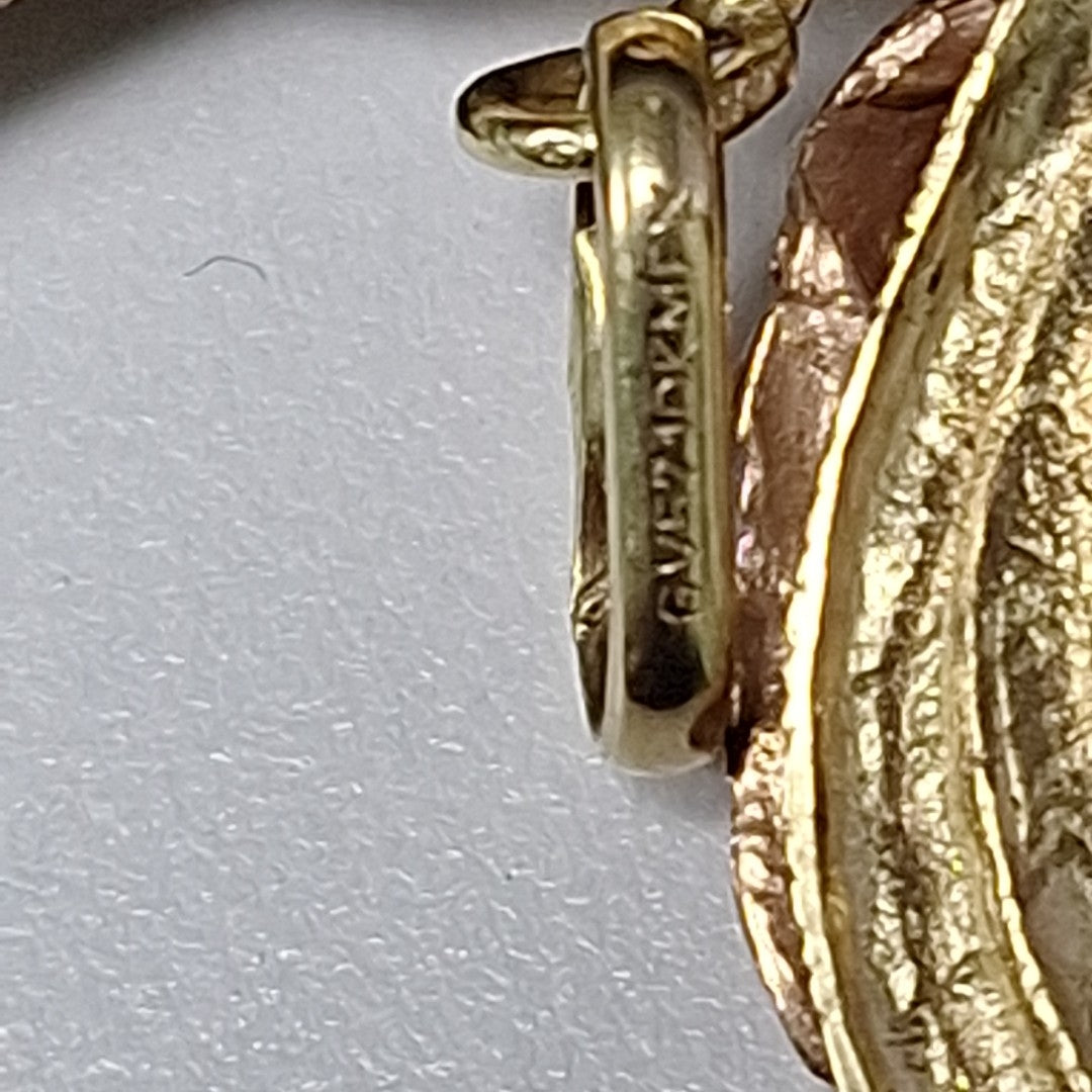 DIJE ORO 10 K 11.6 GRMS (SEMINUEVO)