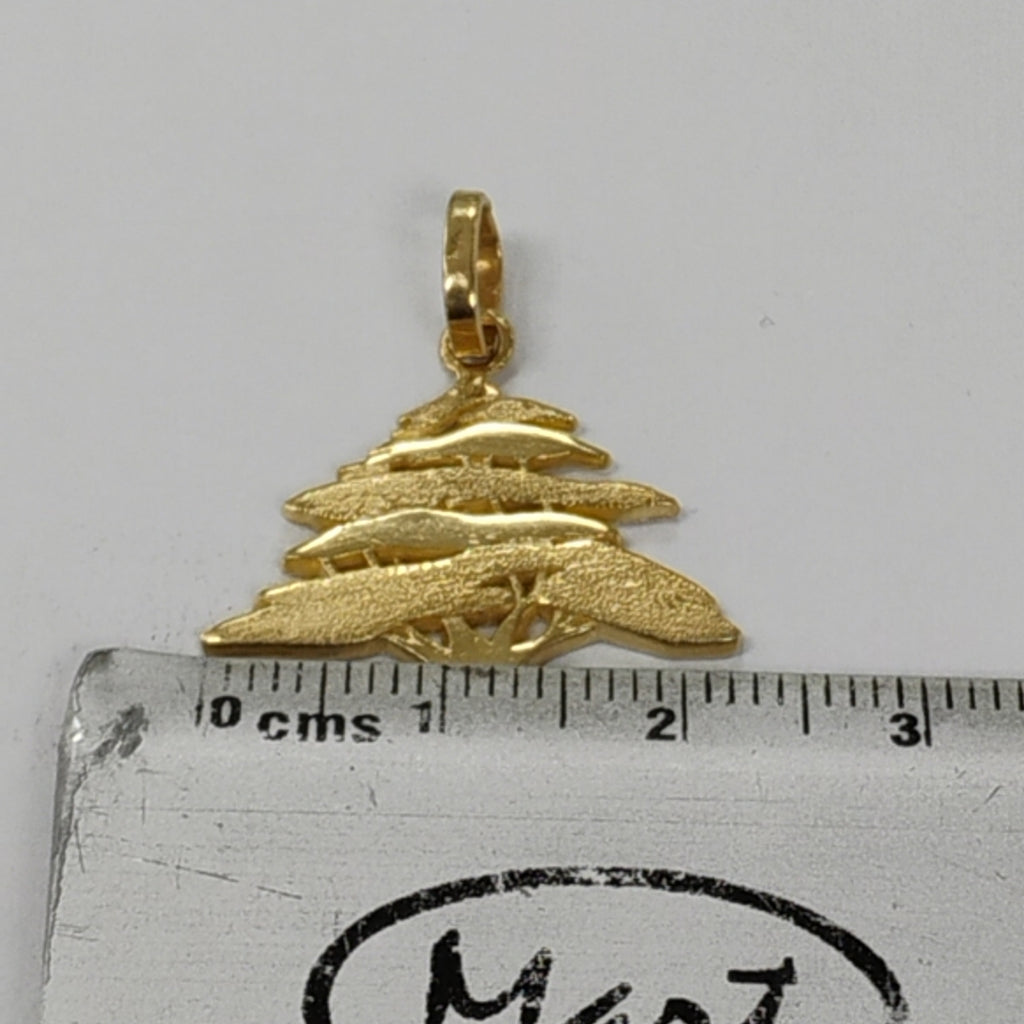 DIJE ORO 14 K 2,70 GRMS (SEMINUEVO)