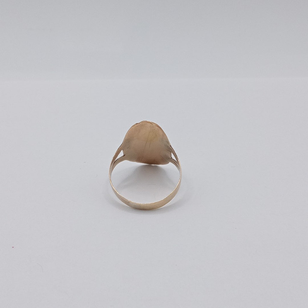 ANILLITO ORO 10 K 1.7 GRMS (SEMINUEVO)