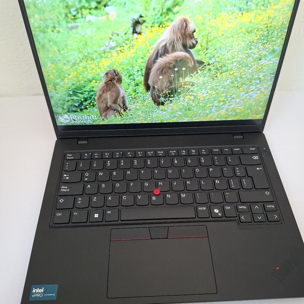 LAPTOP LENOVO THINKPAD L14 GEN 5 (2024) 1 TB SSD 16 GB RAM (SEMINUEVO)