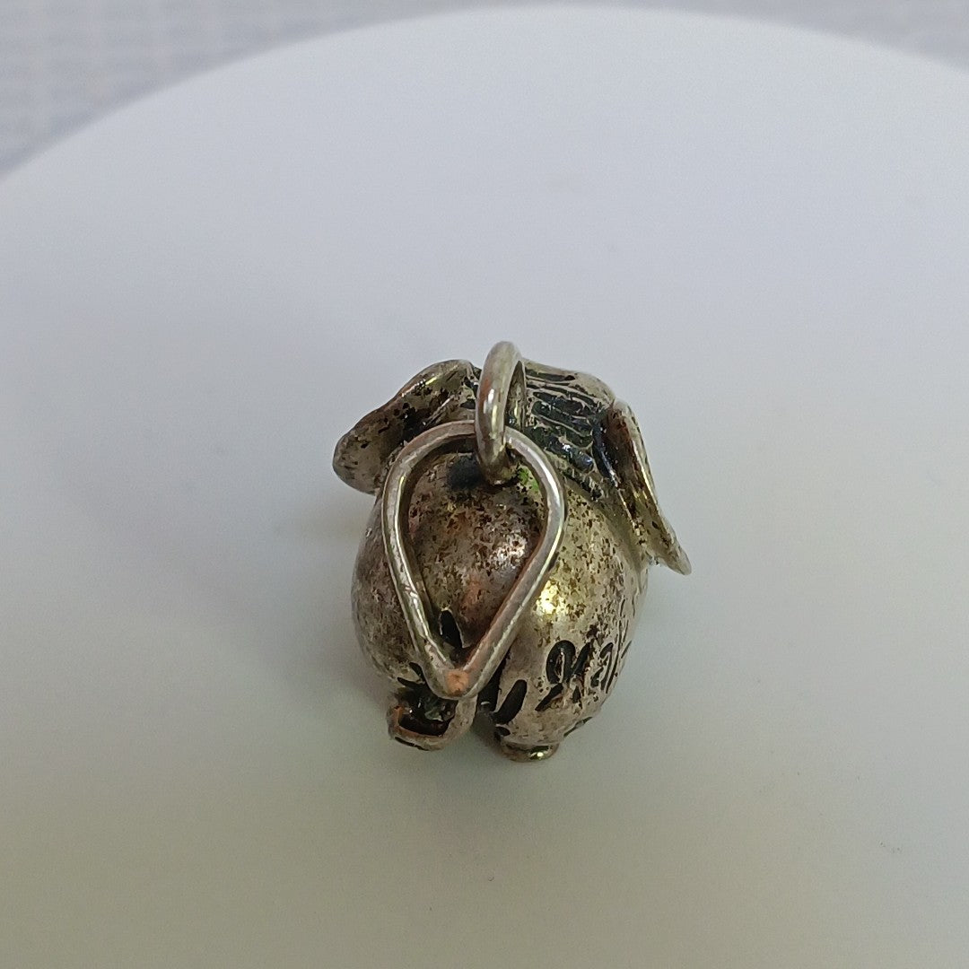 DIJE PLATA 10,40 GRMS (SEMINUEVO)