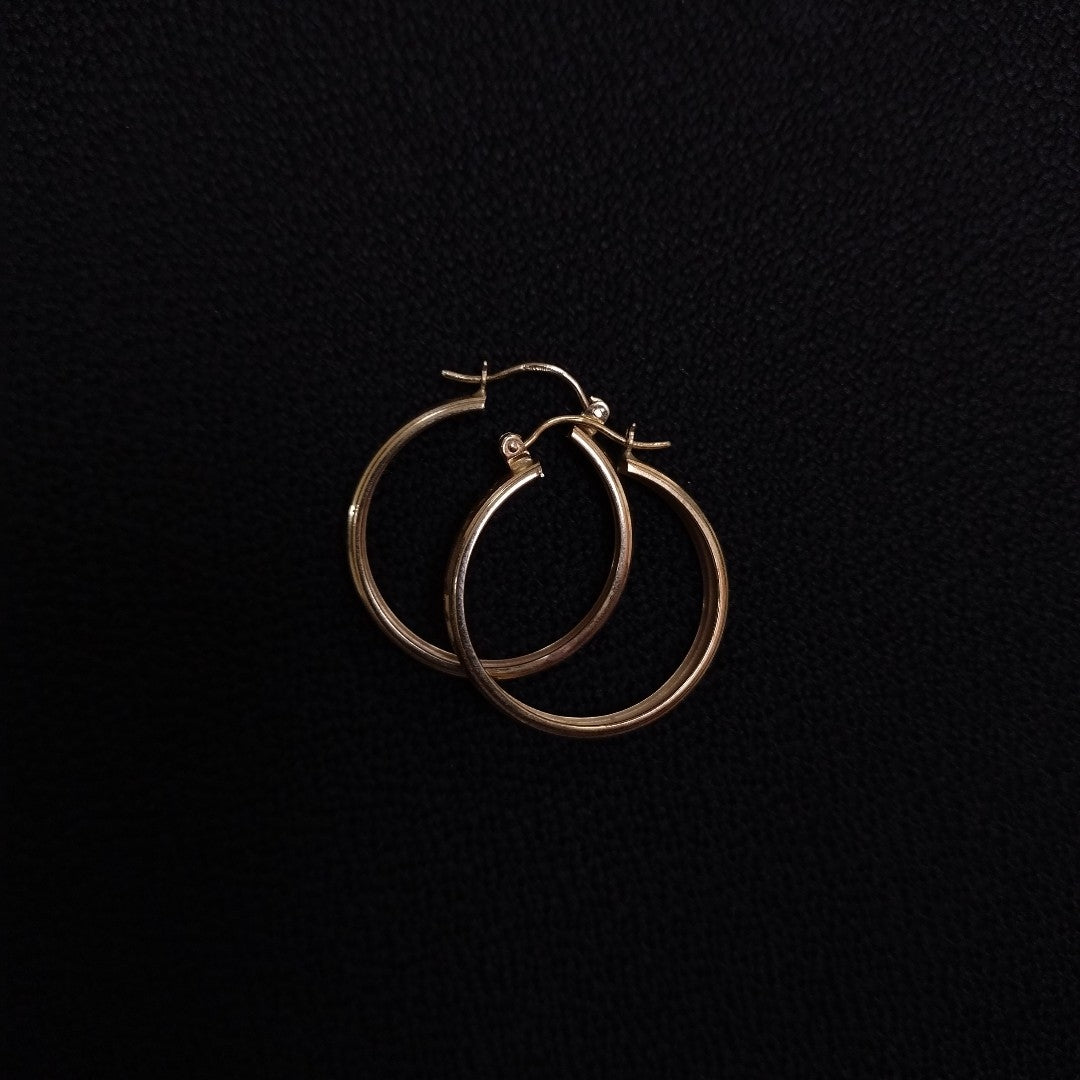 ARETES PAR ORO 10 K 3,20 GRMS (SEMINUEVO)