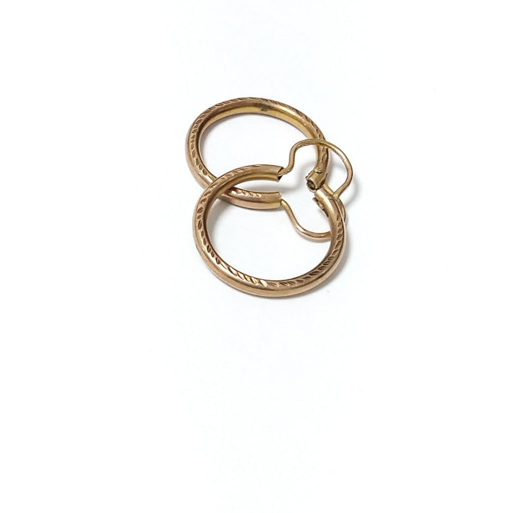 ARETES PAR ORO 10 K 2,20 GRMS (SEMINUEVO)