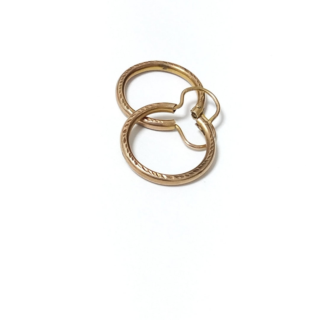 ARETES PAR ORO 10 K 2,20 GRMS (SEMINUEVO)