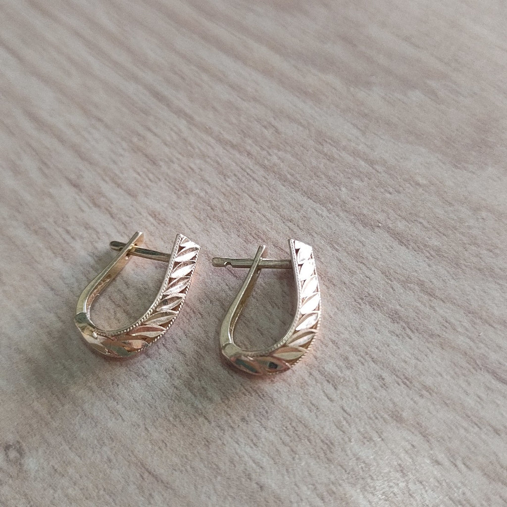 K1 2,50 GRMS 10 K ESPECIFICACIONES COMPLEMENTARIAS PAR DE ARETES (SEMINUEVO)