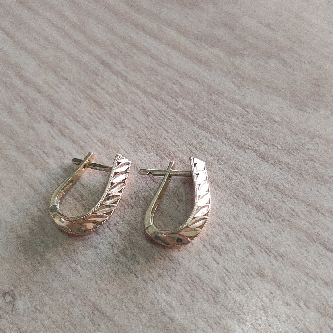 K1 2,50 GRMS 10 K ESPECIFICACIONES COMPLEMENTARIAS PAR DE ARETES (SEMINUEVO)