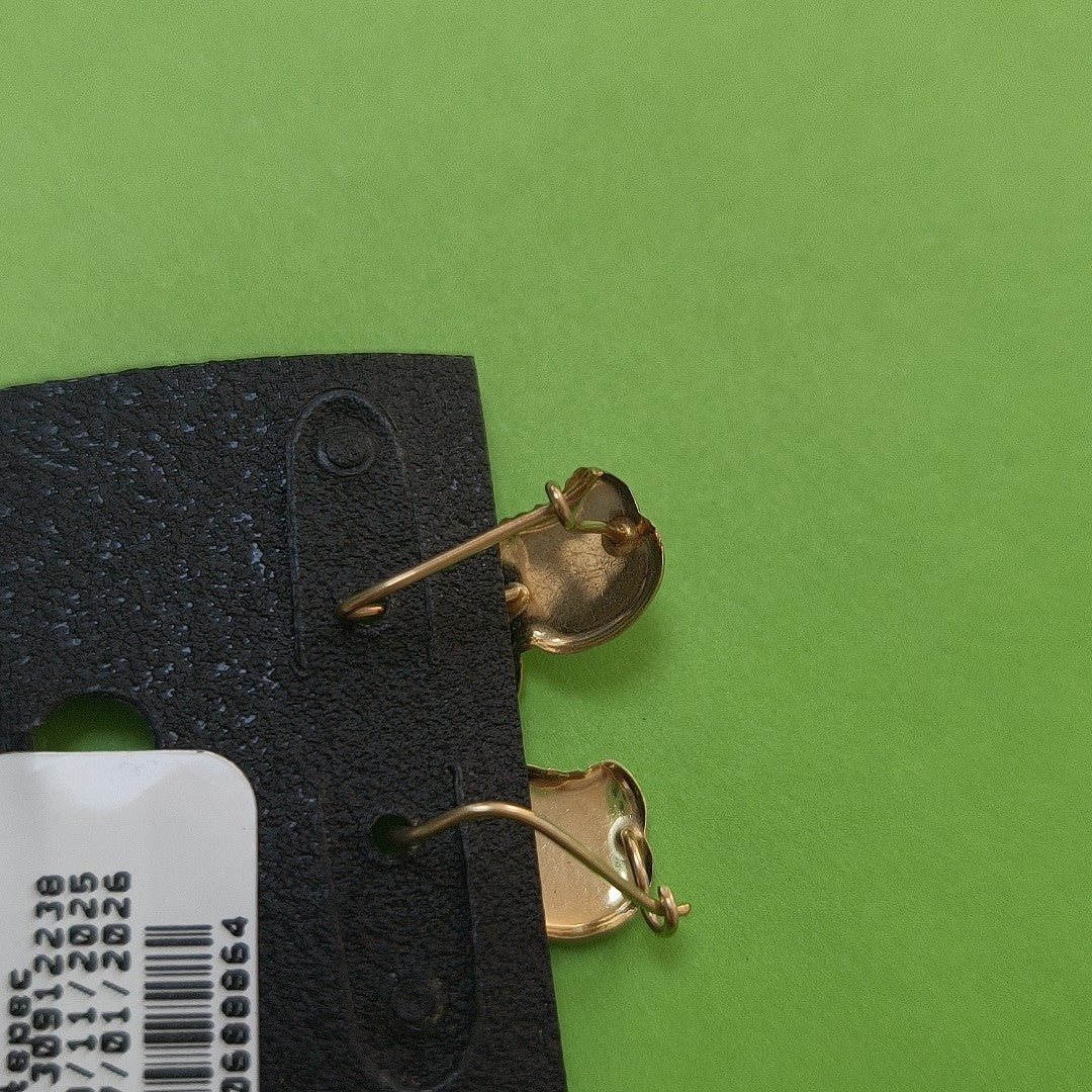 ARETES PAR ORO 10 K 0.9 GRMS (SEMINUEVO)